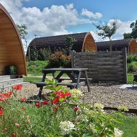 Buttercup Glamping Pod Otel Cheltenham Dış mekan fotoğraf